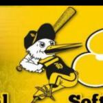 Logo von The Herons 